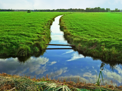waterway with grass