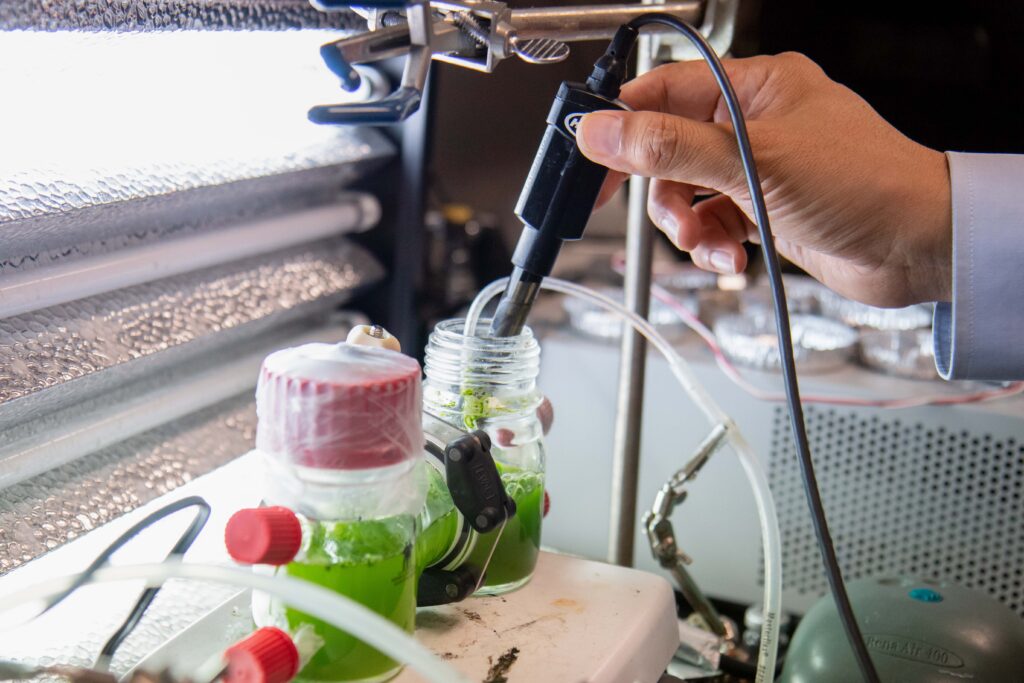 Students work on a biosensor