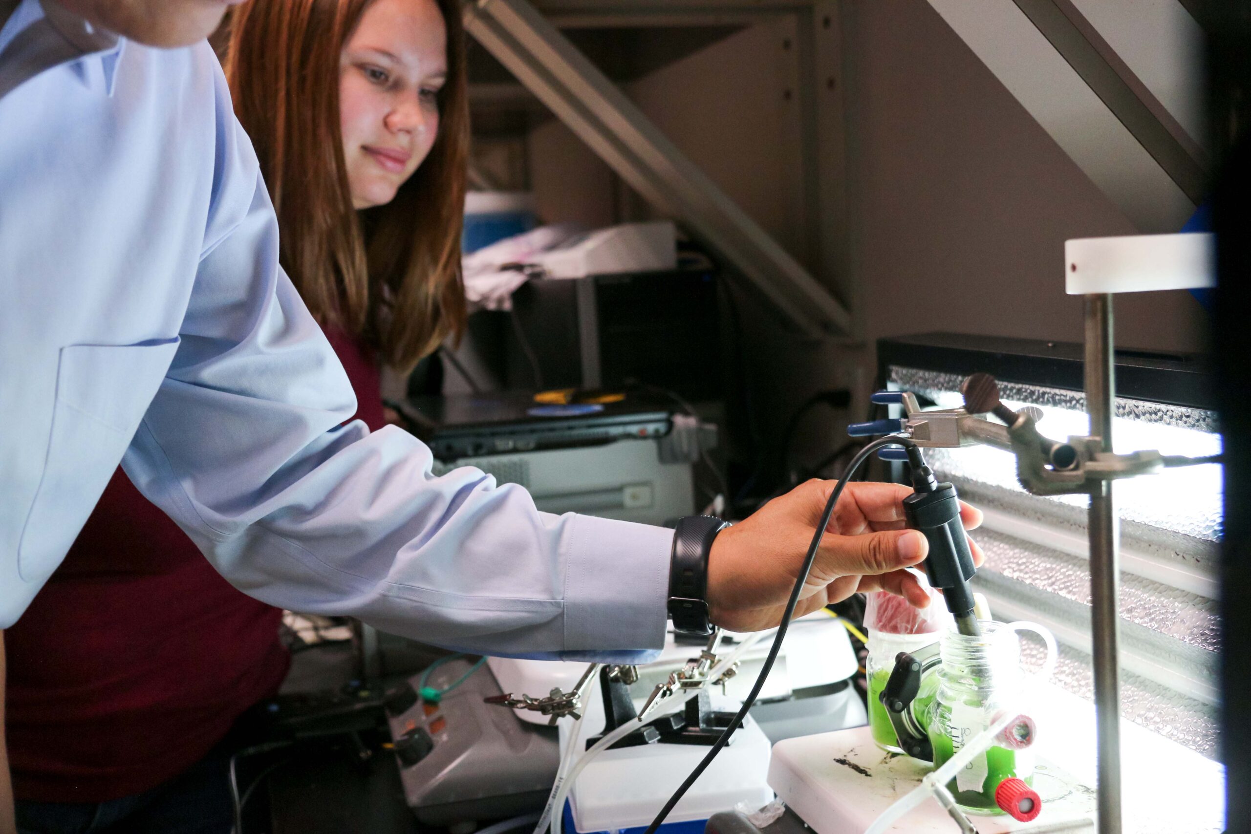 Students work on developing a biosensor